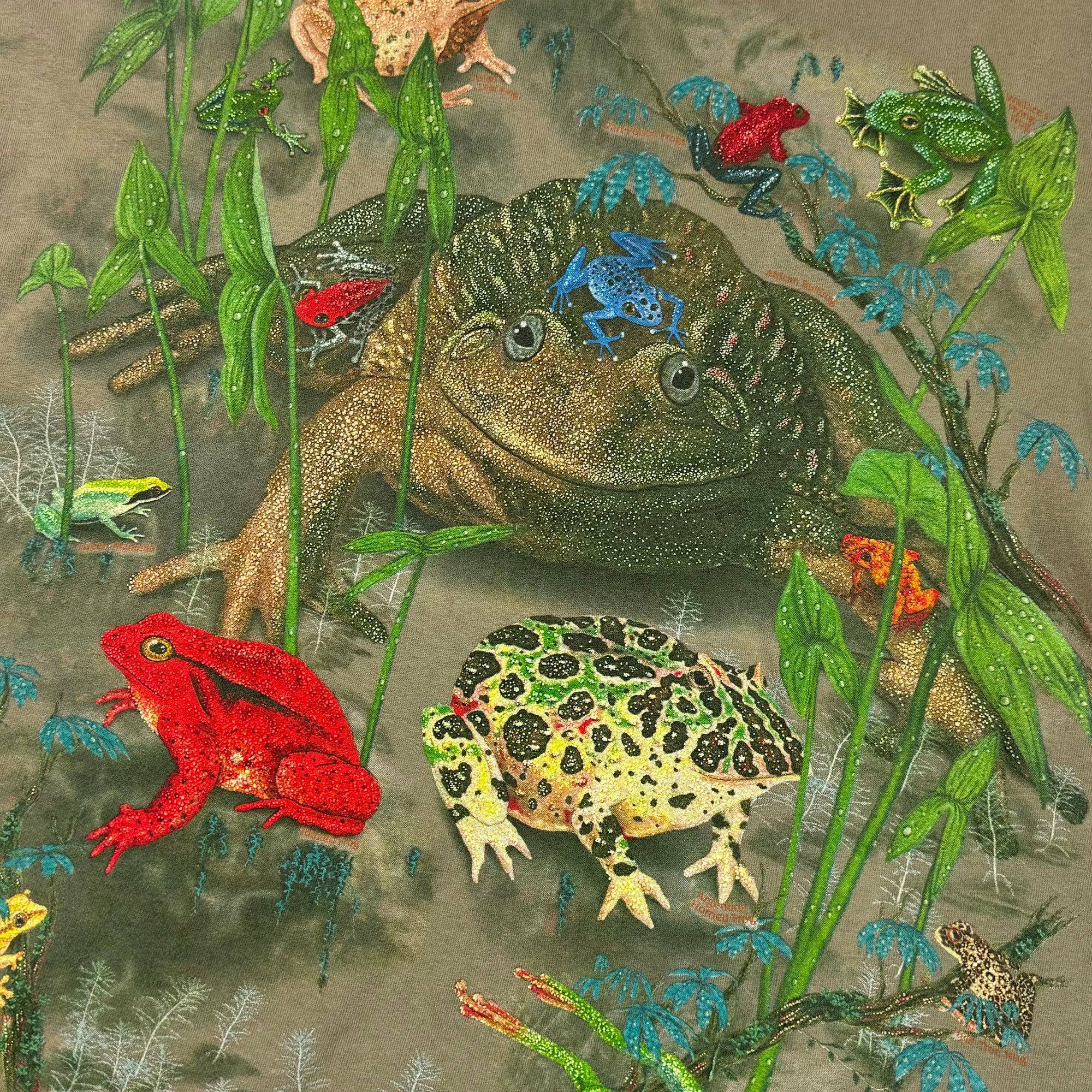 T-shirt - Frogs - Beige