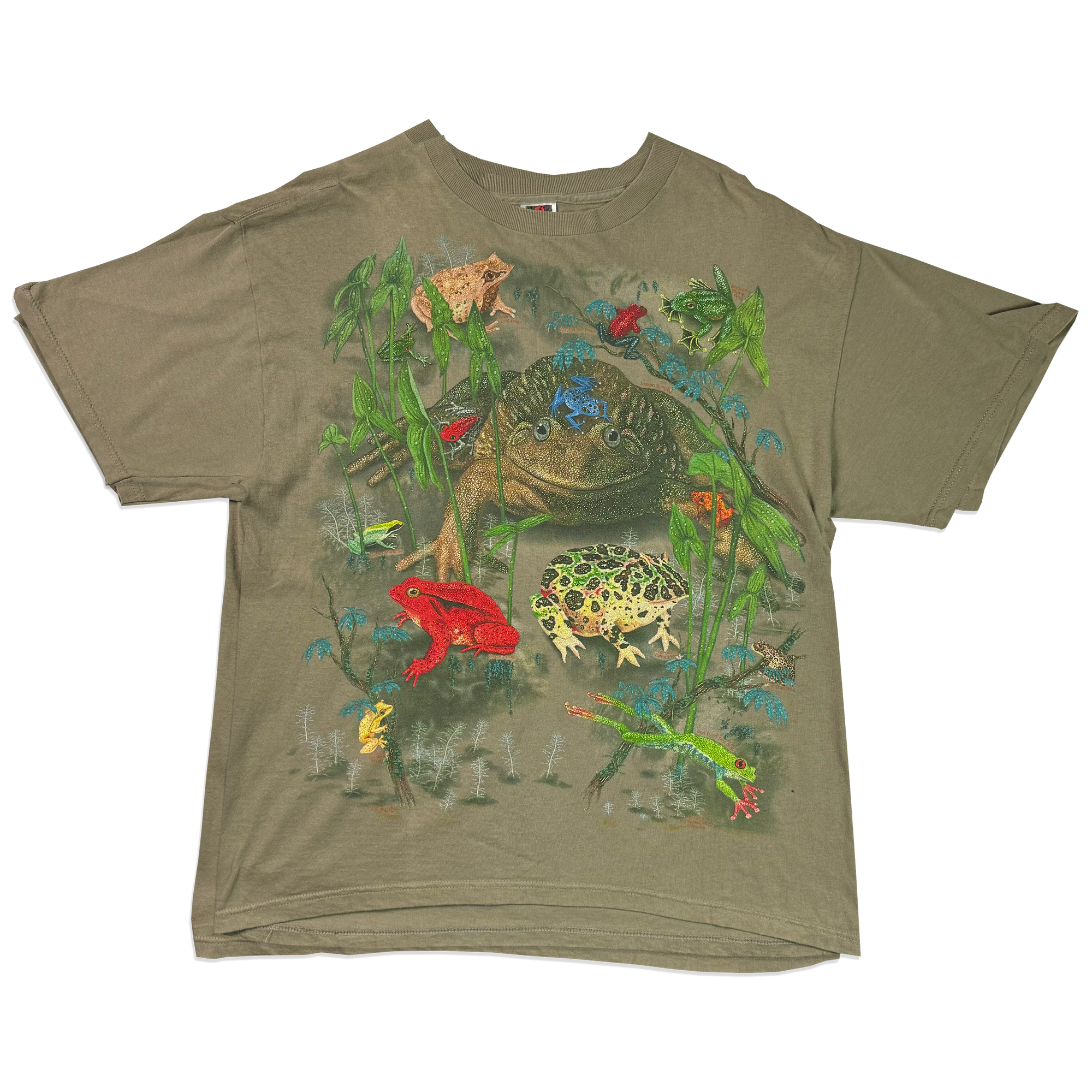 T-shirt - Frogs - Beige
