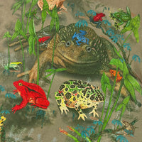 T-shirt - Frogs - Beige