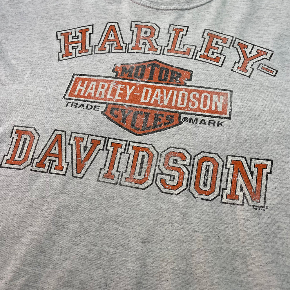 T-shirt - Harley Davidson - Gris