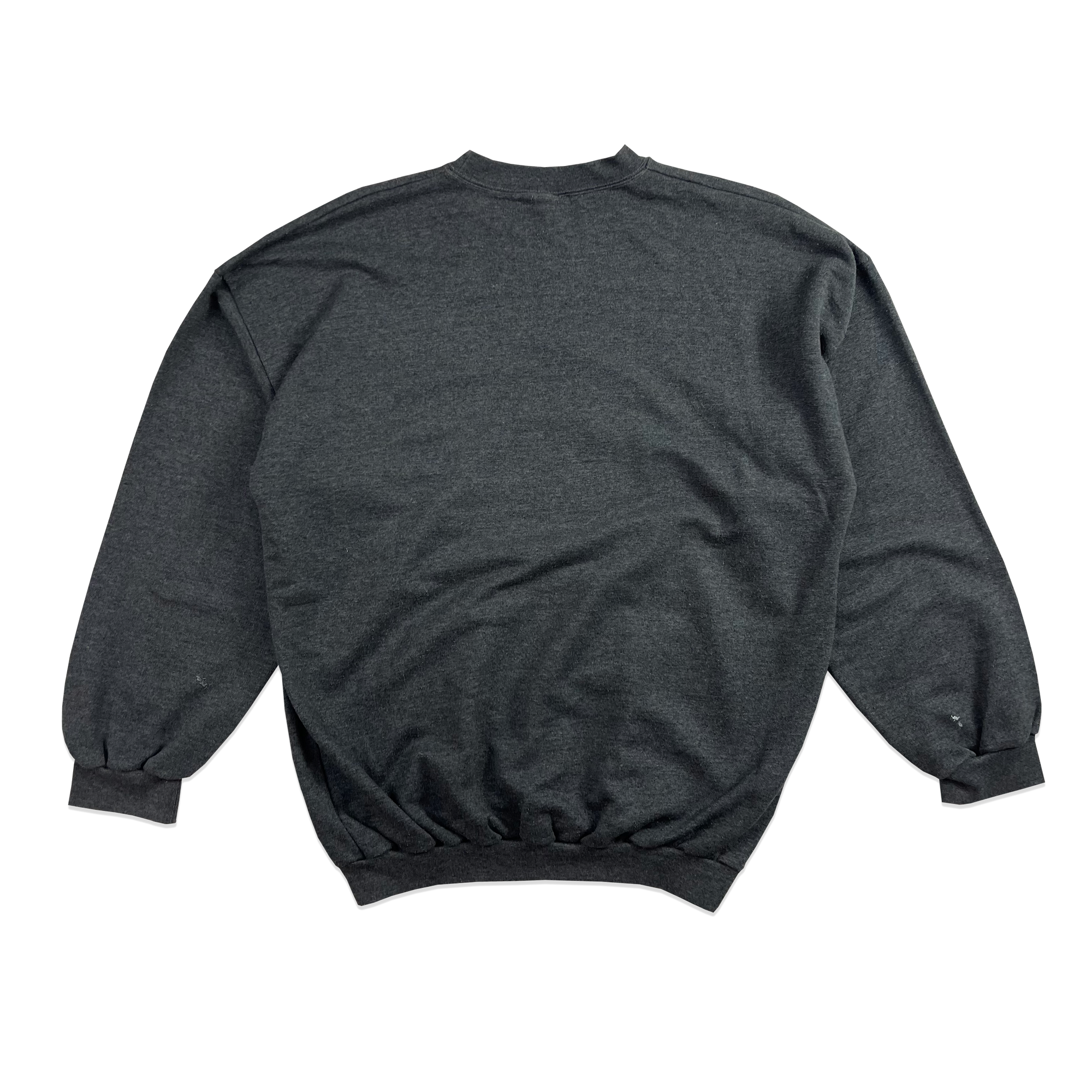 Sweatshirt - Jurassic Park - Gris