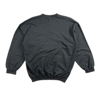 Sweatshirt - Jurassic Park - Gris
