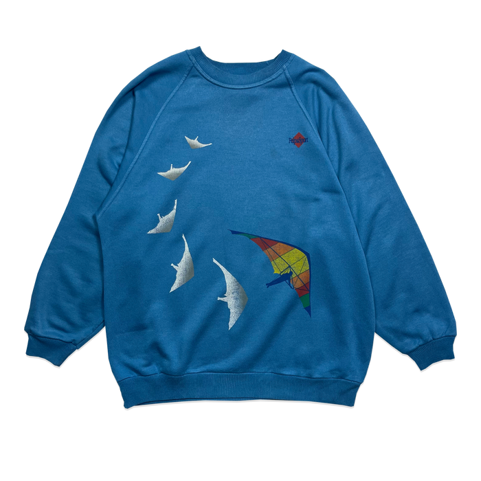 Sweatshirt - FelpaSport - Bleu